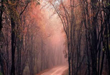 库里缺阵,勇士115-124不敌老鹰,巴特勒25+8,特雷杨25+5+10.