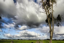 2026超级杯时间确定：阿根廷VS西班牙！球王梅西冲卫冕.