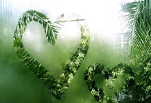 WTT重庆冠军赛丨国乒7人闯入半决赛.