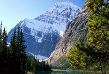 [篮球公园]CBA战季：辽宁男篮成就三连冠.