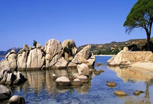 德国羽毛球公开赛：骆建佑杨佳敏双双晋级.